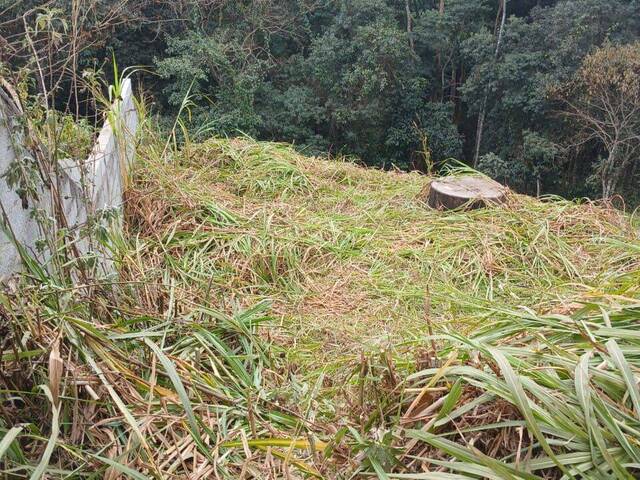 #TR24 - Terreno para Venda em Mairiporã - SP - 3