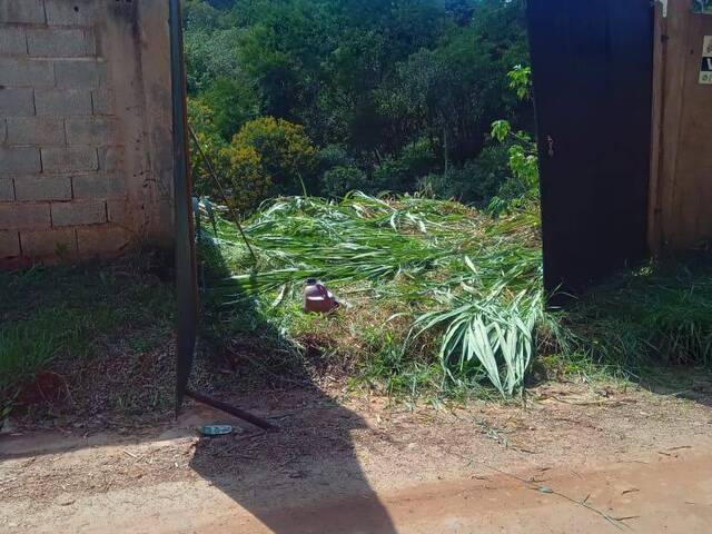 Venda em Jundiaizinho (Terra Preta) - Mairiporã